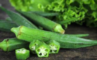 秋葵的种植方法 时间