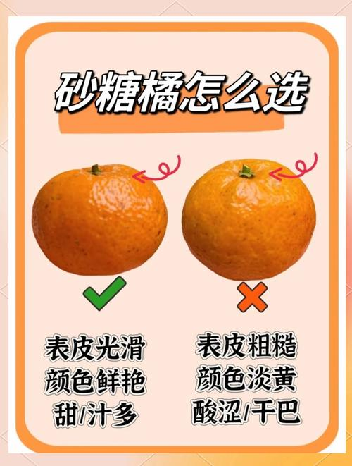 八月桔种植技术