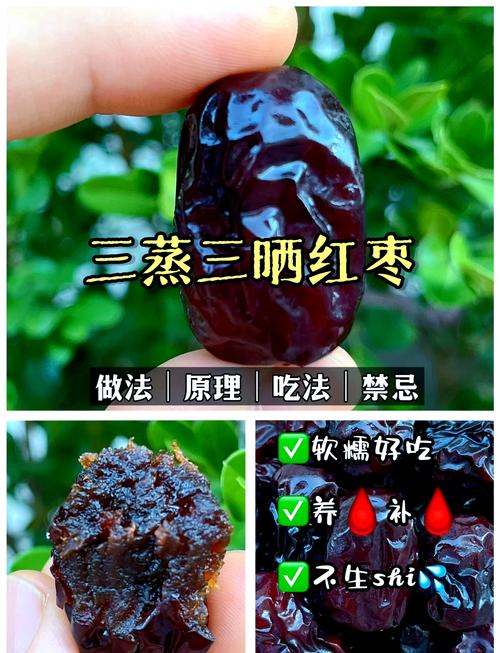 脆枣的种植技术