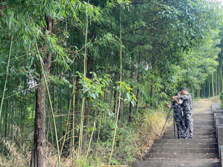 进行人工增雨的原理是干冰