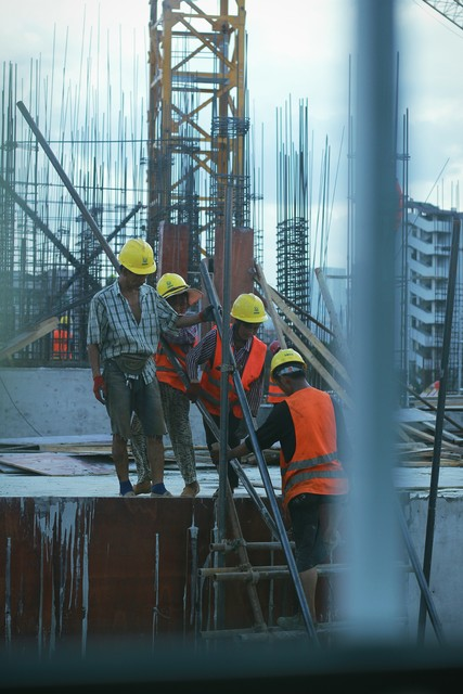 中国有机农业网种植水果