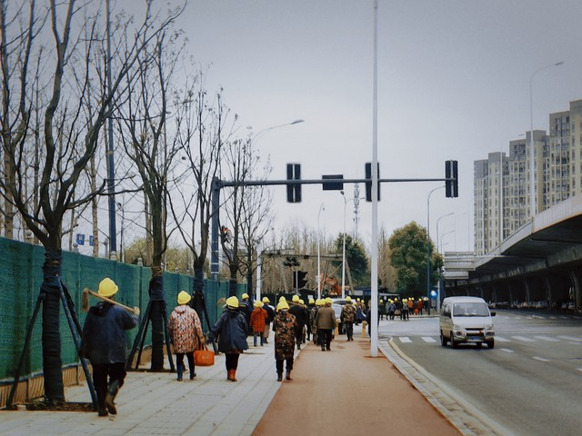 中国有机农业网种植水果