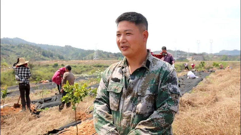 Orange growing technology in august