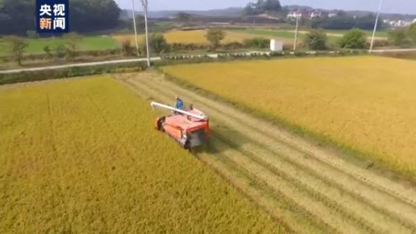 餐饮行业菜价上涨