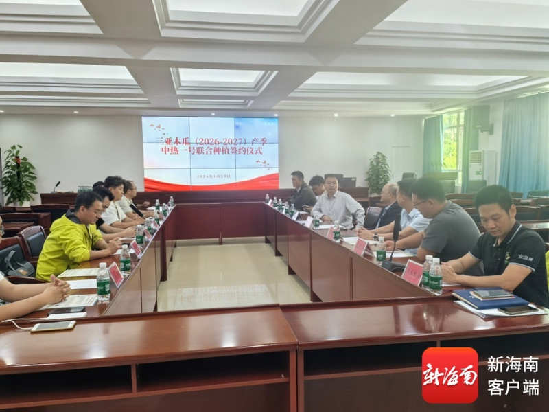 Fruit papaya cultivation