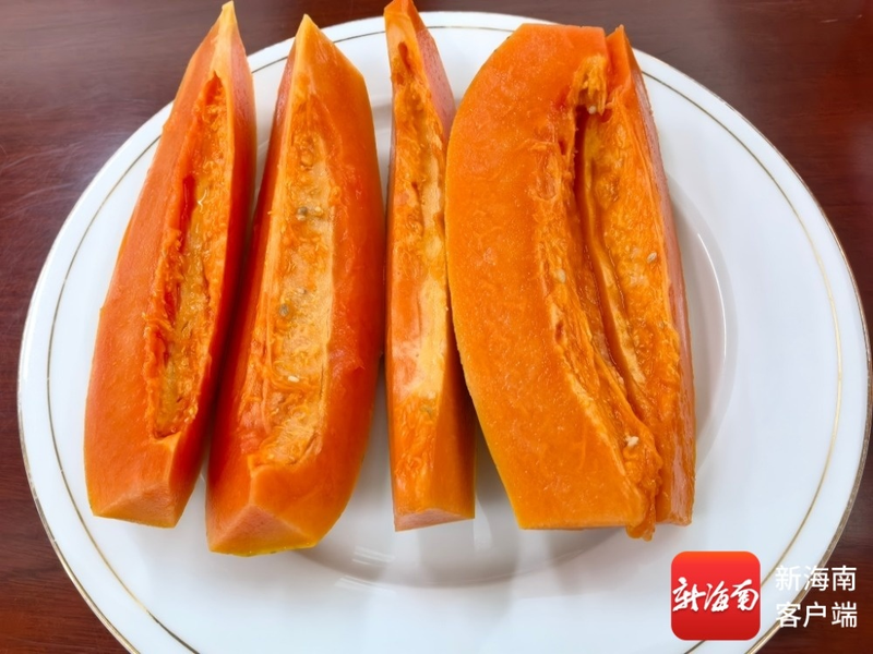 Fruit papaya cultivation