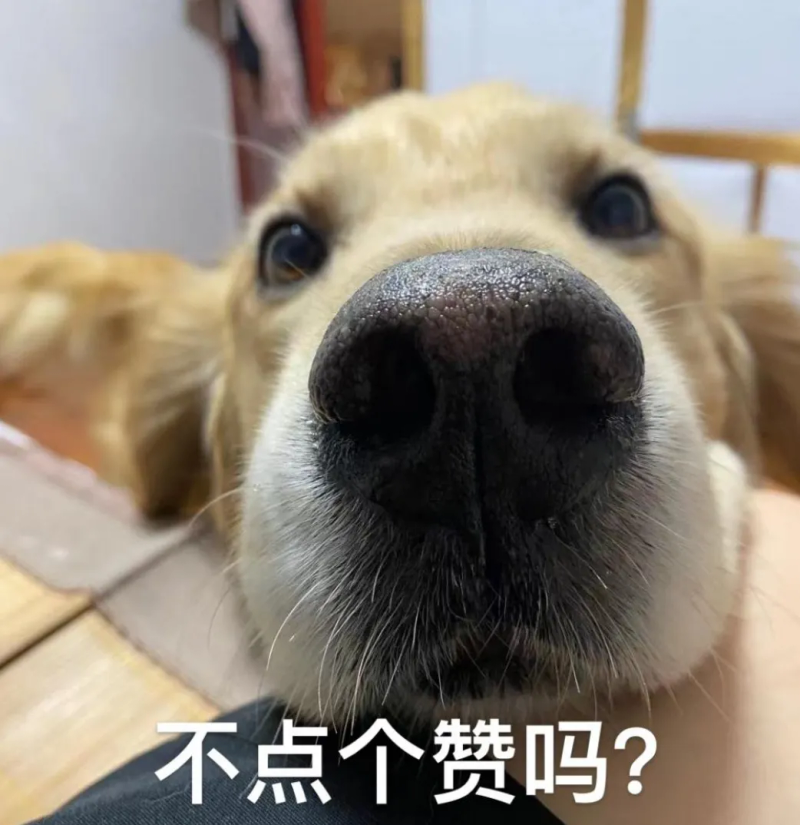 Rental of public rental housing in xian