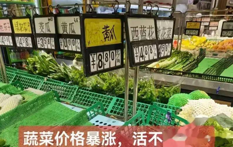 餐饮行业菜价上涨