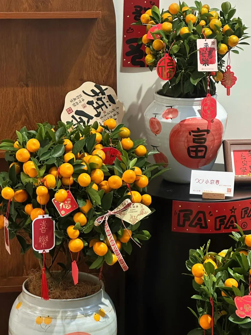 Orange growing technology in august