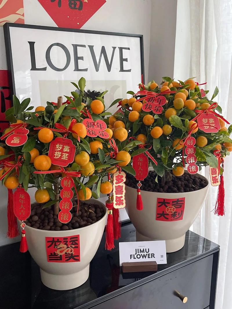 Orange growing technology in august