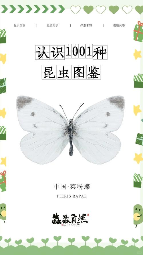 小菜蛾发生规律