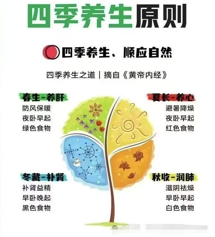 食物养生知识大全集去火的方法