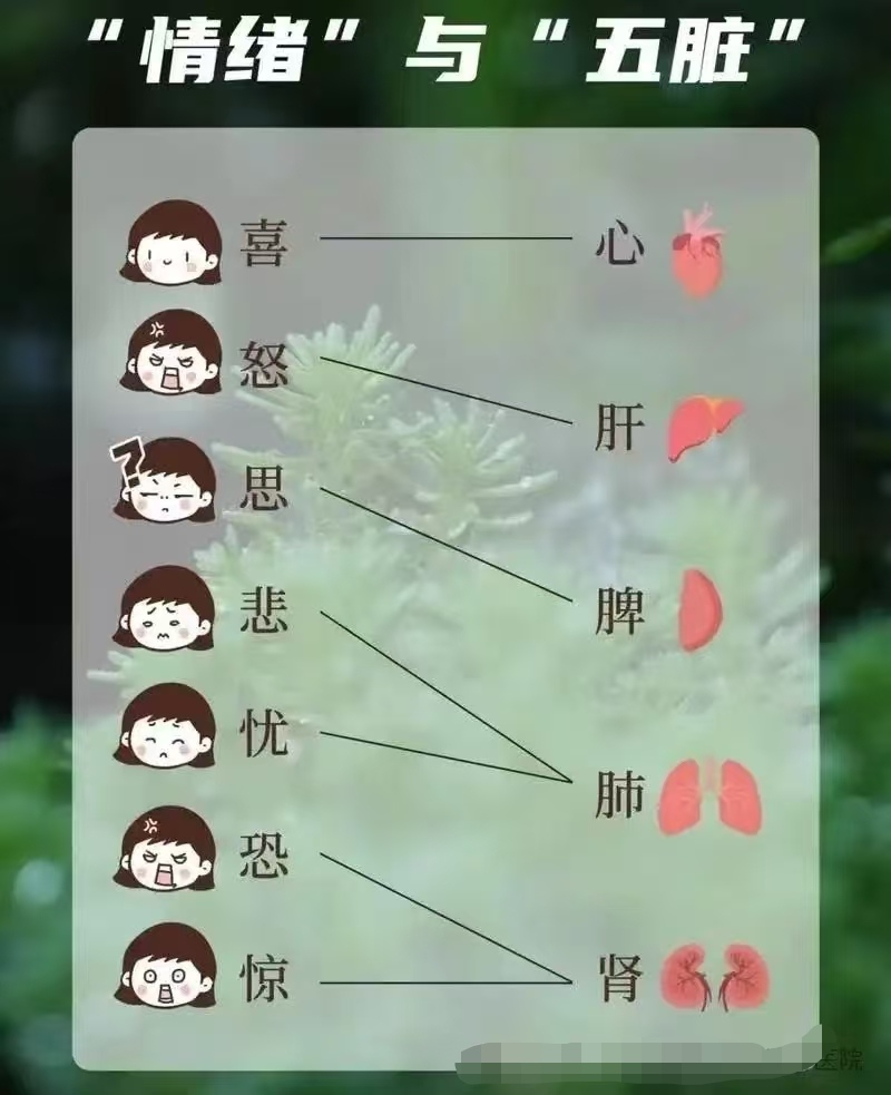 食物养生知识大全集去火的方法