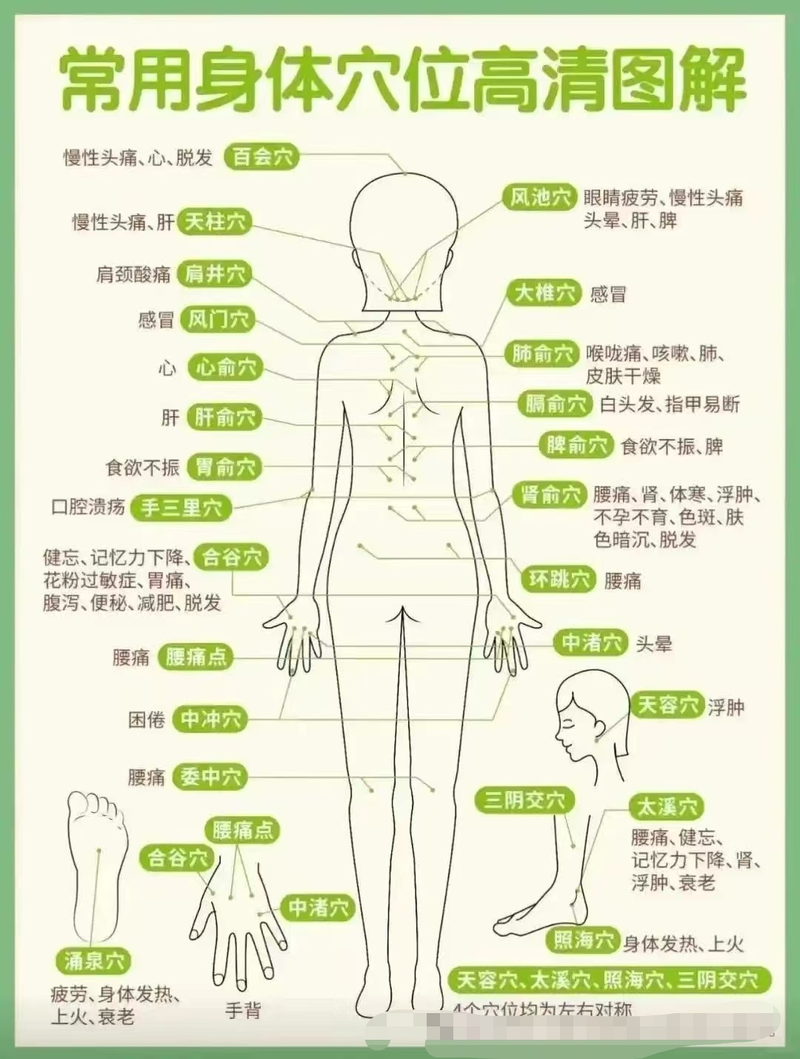 食物养生知识大全集去火的方法