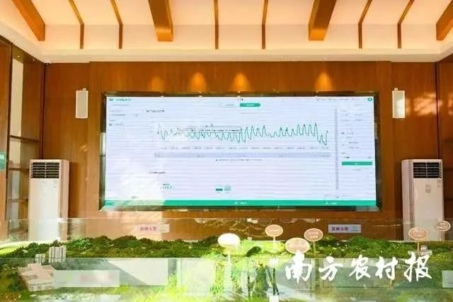 贡柑种植技术视频教学