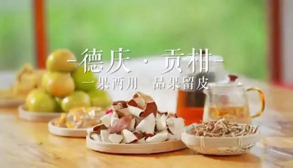 贡柑种植技术视频教学