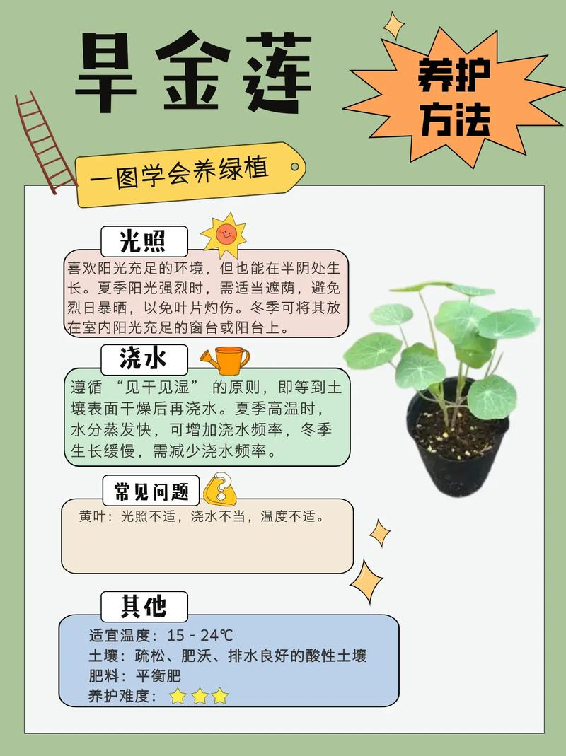 多肉植物种植技术