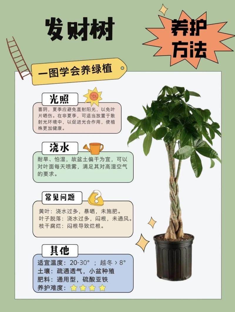 多肉植物种植技术