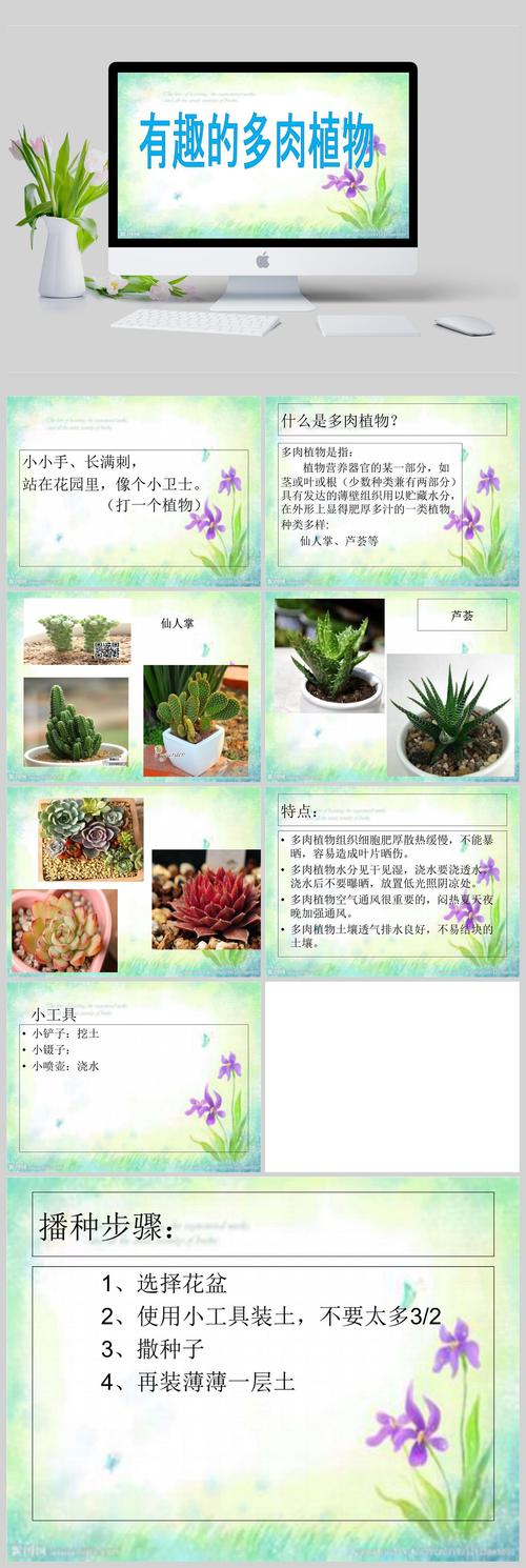 多肉植物种植技术