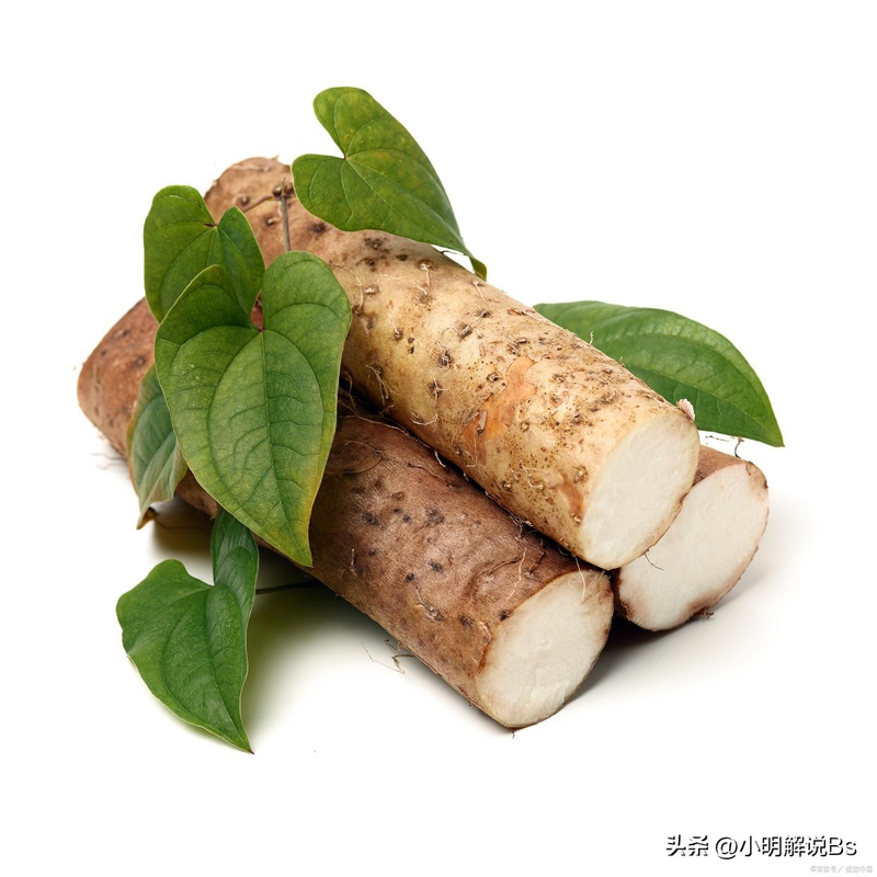 山药的种植方法与技术