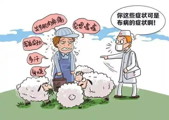 布鲁氏菌病结核病防控知识问答