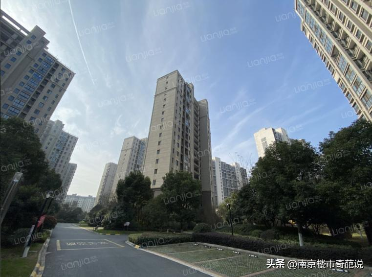 南京江宁托乐嘉房价