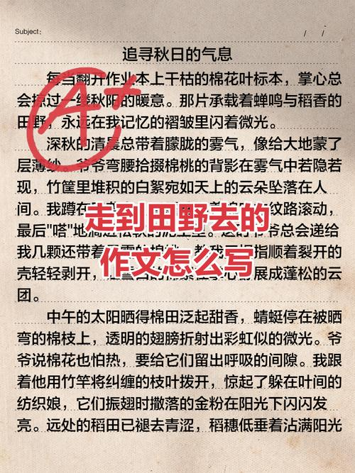 杨朔散文的艺术特点