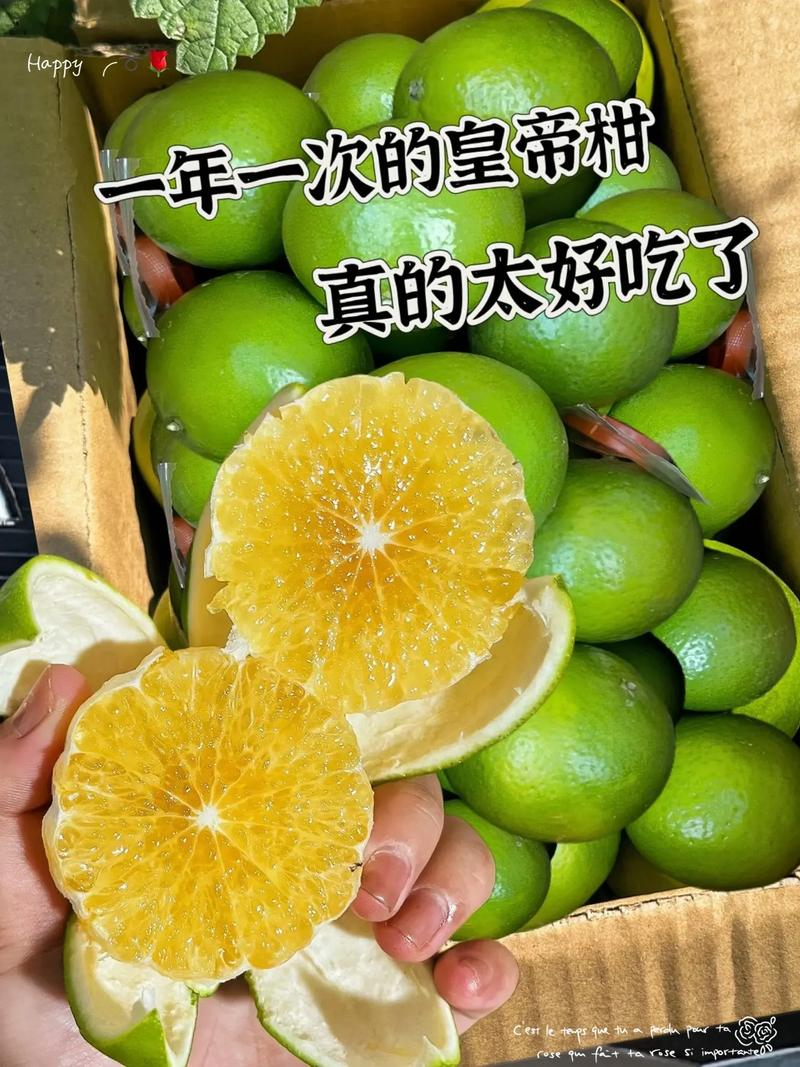 Tutorial video on the techniques of planting kungyo