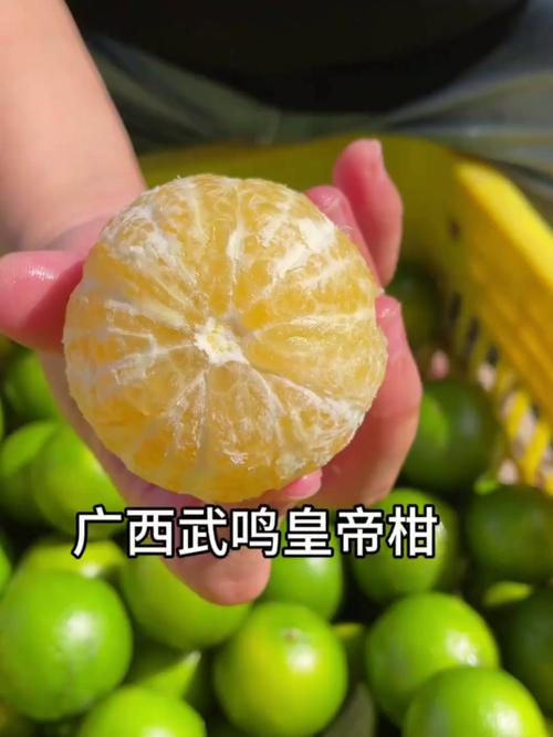 Tutorial video on the techniques of planting kungyo