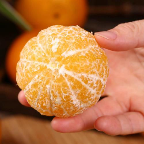 Tutorial video on the techniques of planting kungyo