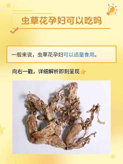 北虫草种植技术视频