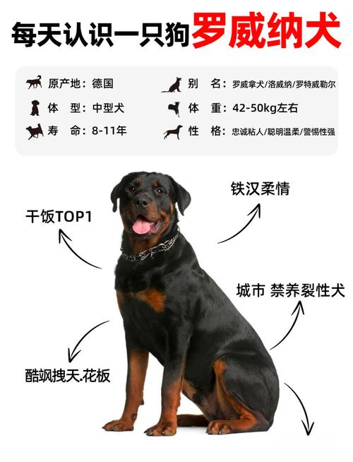 Rowena larceny feeding methods