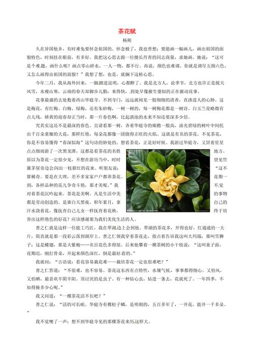 The artistic character of yang soo's essay