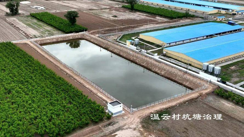 浅水莲藕种植技术视频