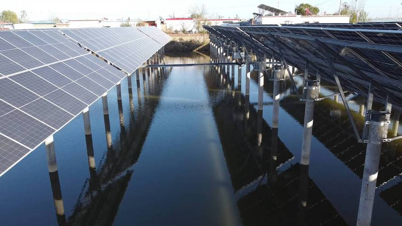 浅水莲藕种植技术视频