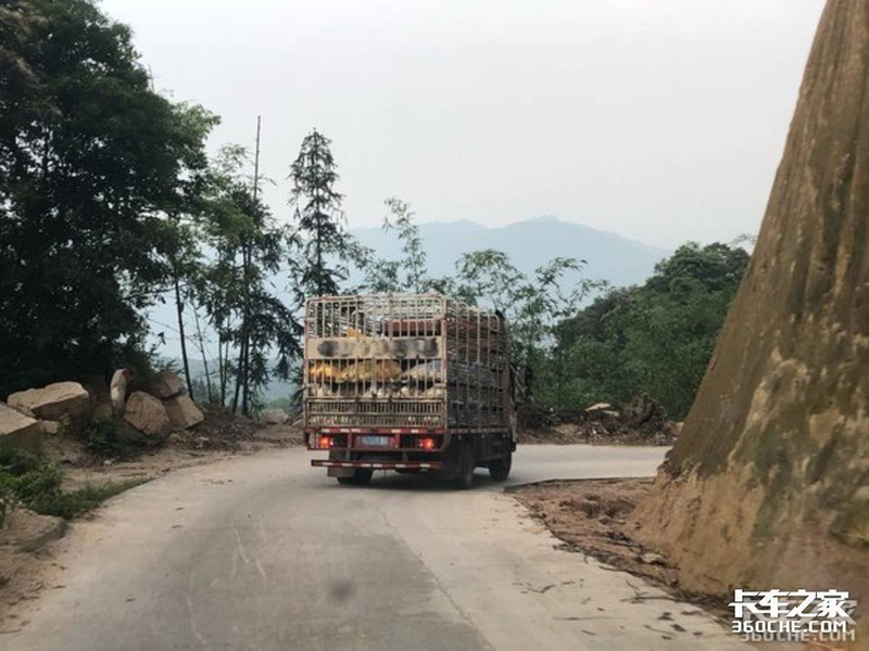 Petrol and diesel working principles