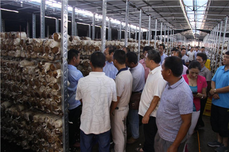 贡柑种植技术视频教学