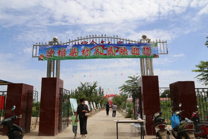 Earth watermelon planting technology video