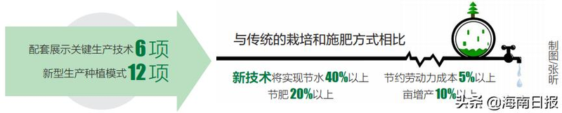 黄秋葵的露地种植方法