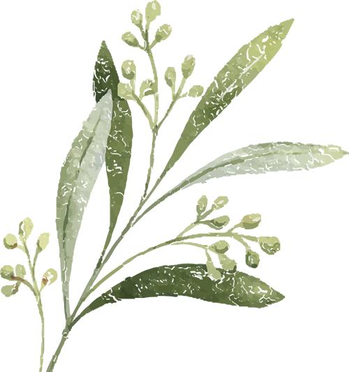 There's a pattern in the moth