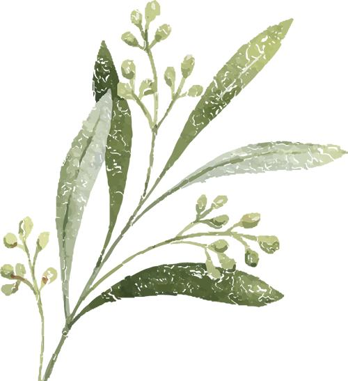 There's a pattern in the moth