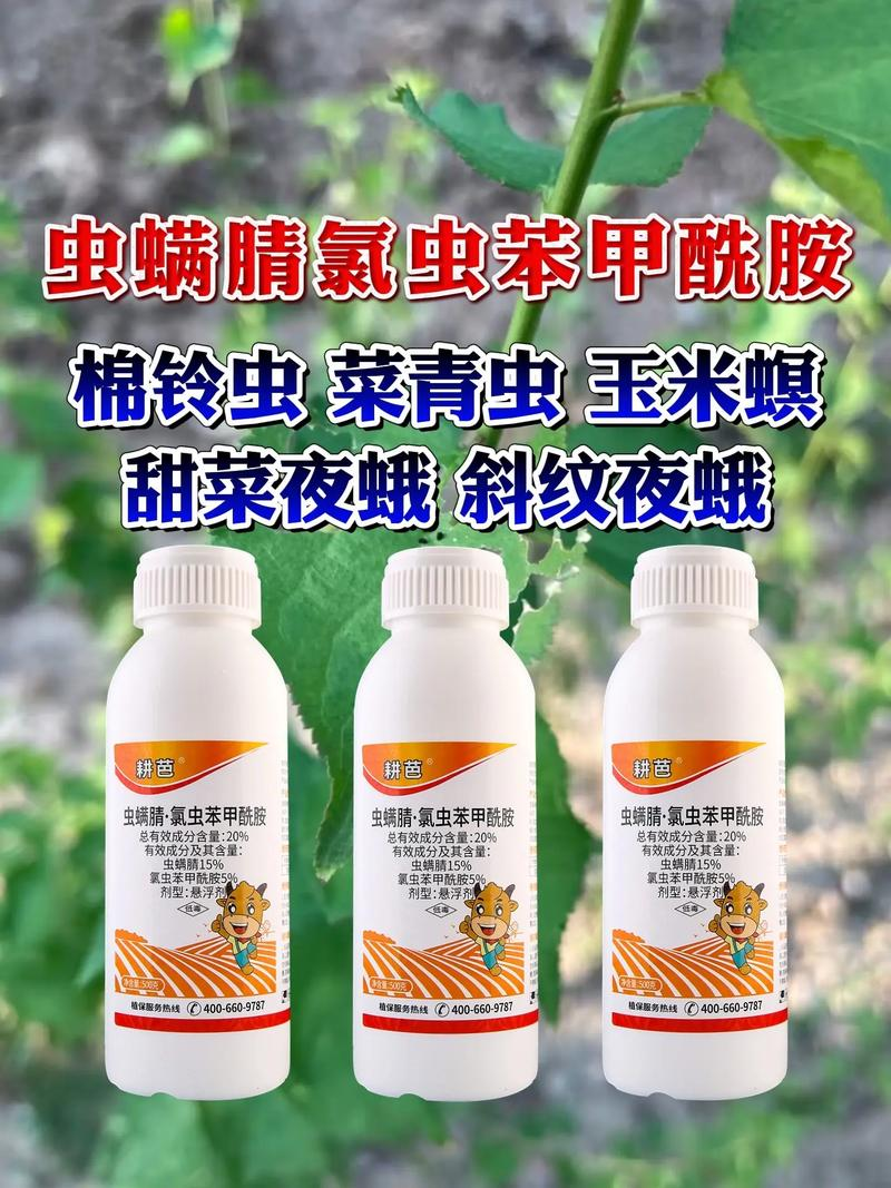 小菜蛾发生规律