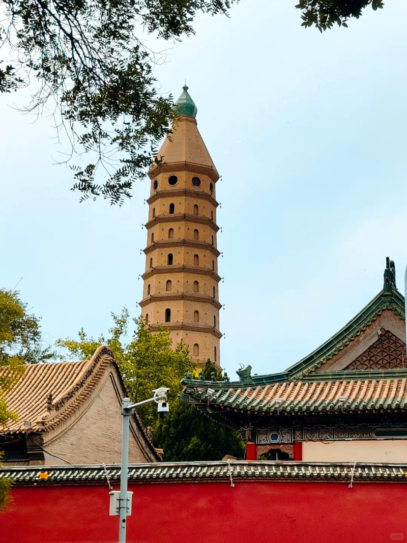 银川沙坡头跟团票价