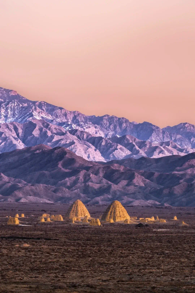 银川沙坡头跟团票价