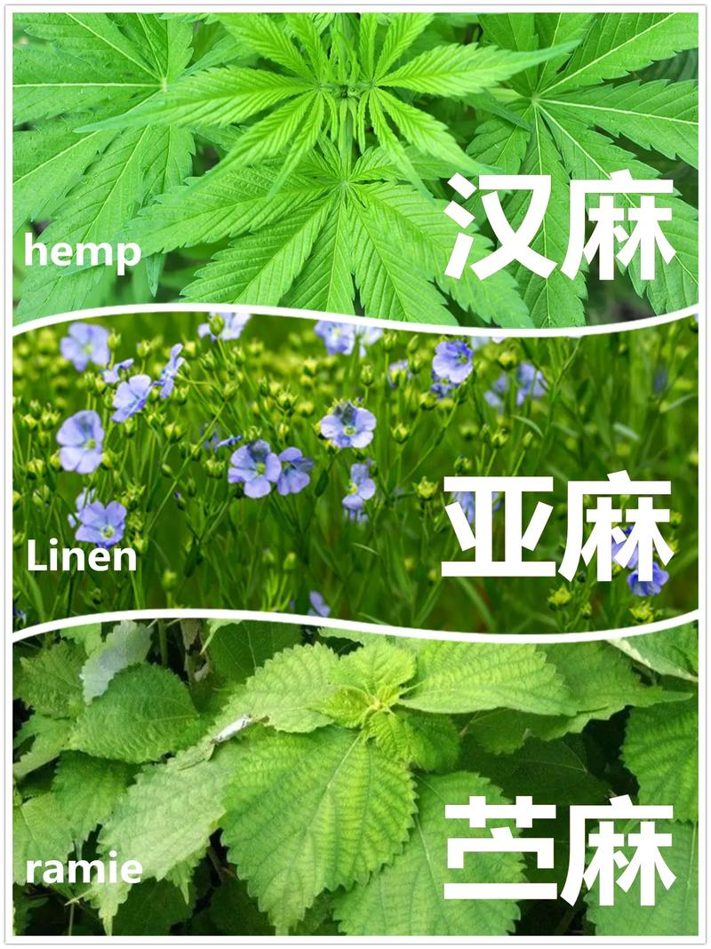 Sword and pyroculture technology