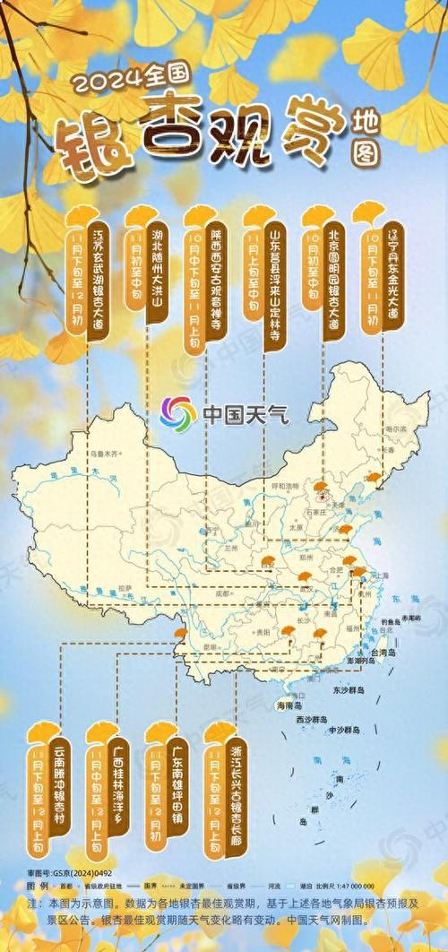 银杏树苗种植方法