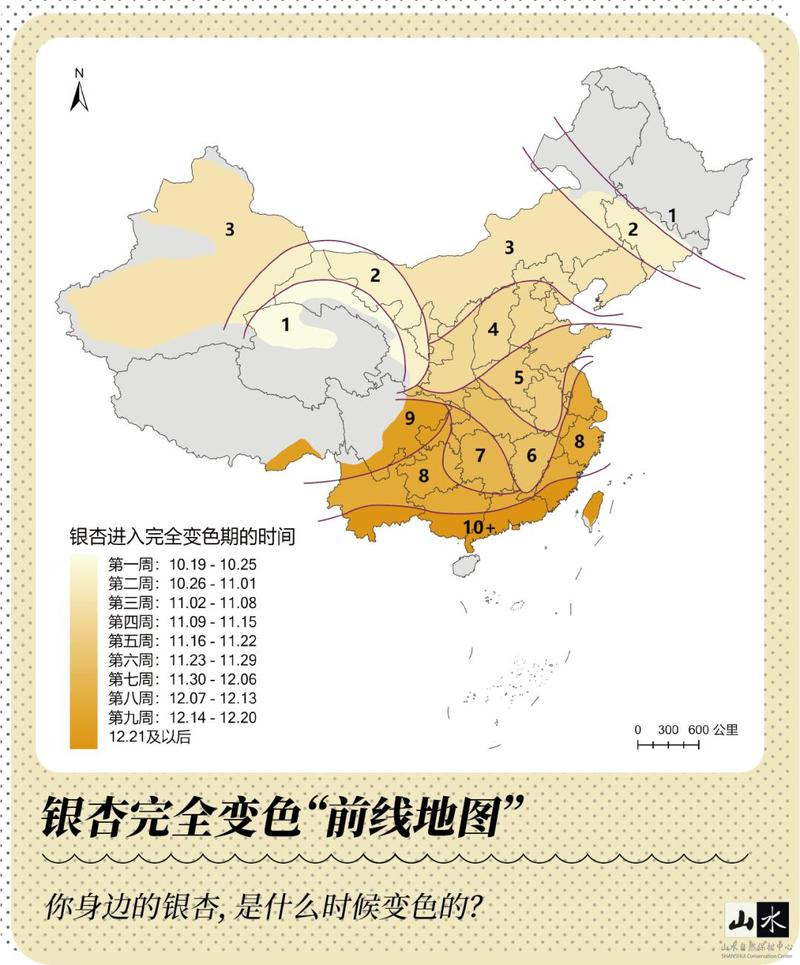 银杏树苗种植方法