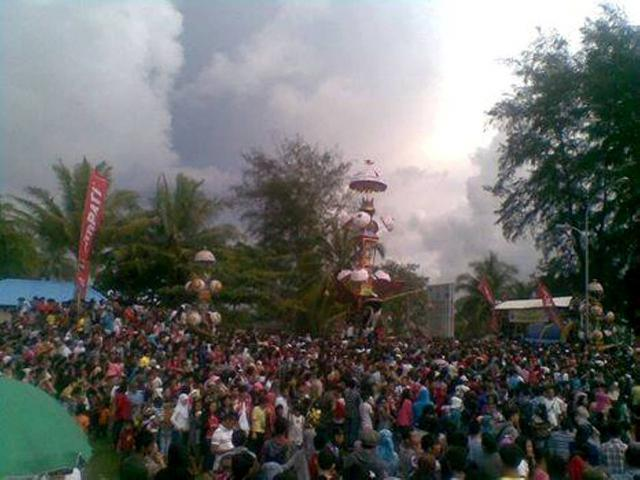 靖安白茶功效和特点