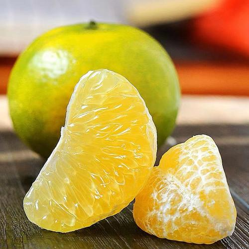 贡柑种植技术视频教学