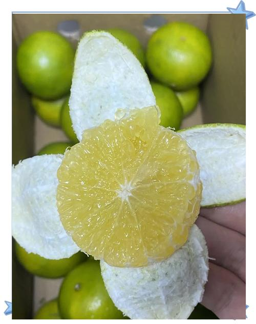 贡柑种植技术视频教学